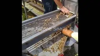 Συλλογή σαλιγκαριών 2015-2016 Touchstone Snail Technologies