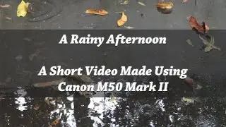 A Rainy Afternoon | Canon M50 Mark II - Internal Microphone| Canon M50 Cinematic