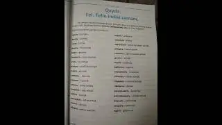 Feil. Feilin indiki zamanı.