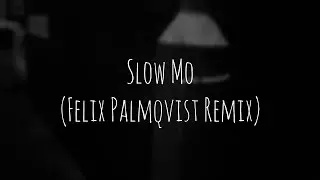 The Spacies - Slow Mo (Felix Palmqvist Remix)