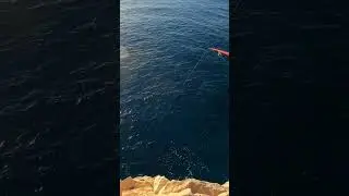 Cebos sardina anzuelar