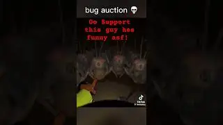 Bug Auction