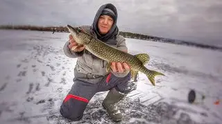 ЖЕРЛИЦЫ РАБОТАЮТ !! ЛОВЛЯ ЩУКИ !! ПЕРВЫЙ ЛЁД