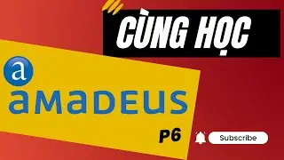 Hướng dẫn sử dụng hệ thống đặt vé Amadeus (1A) | P6 Điền các thông tin hỗ trợ đặt chỗ