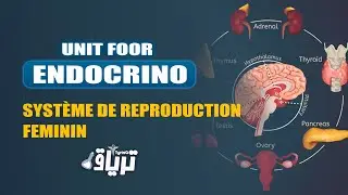 #2ème année TMC CAMP - Unité  #endocrinologie : Appareil génital #féminin | By Maissa