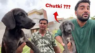 Wahab Bhiya Ko Chutki Mil Gai😍
