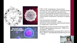 Влияние стресса на иммунную резистентность студентов медицинского университета.  Монахова Дарья Д.