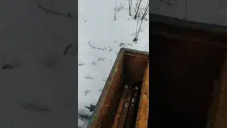 зимовка на 100грамов