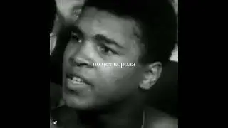 МУХАММАД АЛИ, САМЫЙ ИЗВЕСТНЫЙ БОКСЕР МИРА