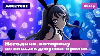 Аниме-сериал «Негодник, которому не снилась девушка-кролик» – обзор