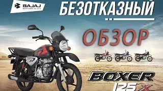Bajaj Boxer 125 или 150 какой выбрать ? от MOTOshop.UA.