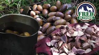 Survival/Bushcraft  Eating Acorns 🌰🍂🐿 (subtitles 🇬🇧)