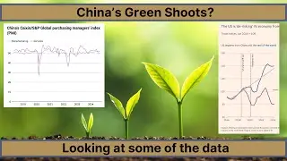 China's Green Shoots? - C7