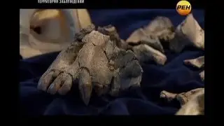 Угроза из комоса