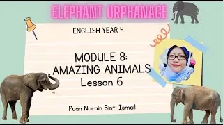 GET SMART PLUS 4 I MODULE 8: AMAZING ANIMALS I WORKBOOK PAGE 71