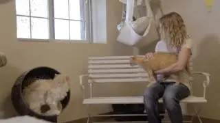 Nuzzles & Co - Where Love Wins