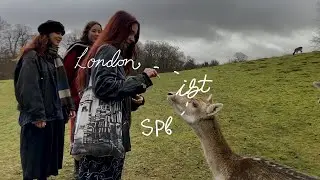 UK winter