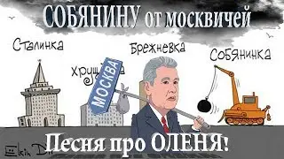 Песня ОЛЕНЬ Собянину от москвичей