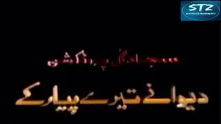 Sajjad Gul Productions (1997)