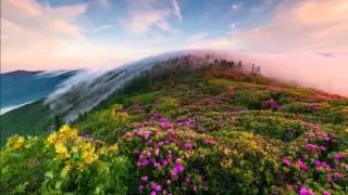 Mahler - "Blumine" from Symphony No. 1