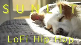 Stressed? Exams? Yeh music suno and feel relaxed. Lofi Hip Hop Songs