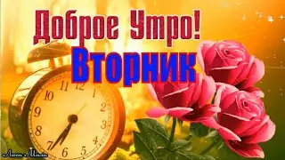 ☕ Доброго Утра Вторник! Красивая Песня С Добрым Утром Хорошего Дня Видео открытка Удачного Вторника