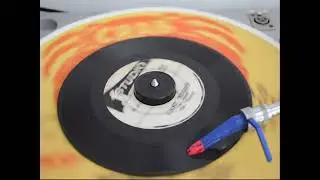 The Viceroys - Last Night