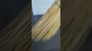 на меня напал веник