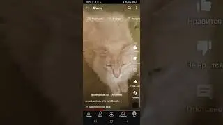 Снимите видео под этот звук и я на вас подпишусь
