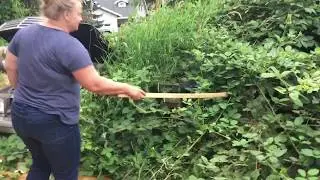 Как в Америке 