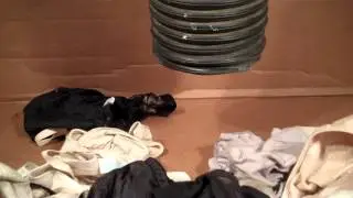 lingerie versus the vacuum