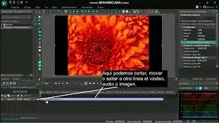 Como utilizar la aplicación VSDC Free Video Editor