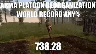 arma reorg any%