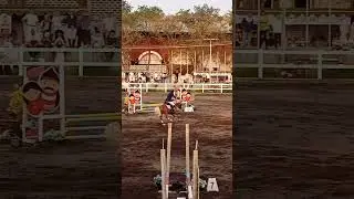 KUDA TERKECIL DI ACARA SURABAYA JUMPING MASTER 2023