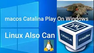 macos🍎Catalina Play On Windows With VirtualBox; solve the system resolution problem; support Linux