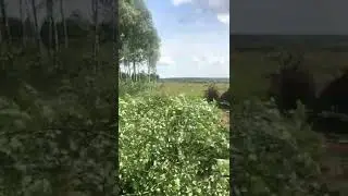 Видео от подписчика БЛАГОДАРНОСТЬ )