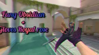 Fang Obsidian + Gloves Royal rose