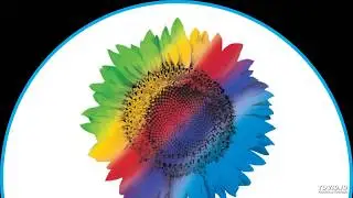 Wipro Telephonic interview questions on SQL and PLSQL for Data Analyst position