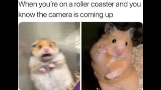 Memes I found on Internet (Part 1) 🤣😂
