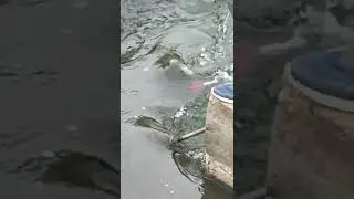 Измерение скорости потока реки