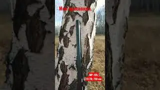 Моя красавица. МР-155; 12/76; 750 мм.