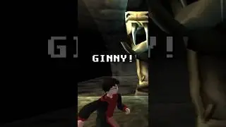 Harry fights a snake and flys a car. 