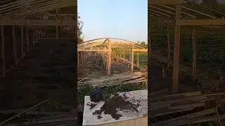 теплица бюджетно