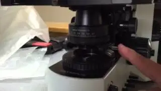 Olympus BX Condenser Change