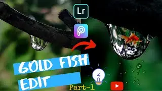 Gold fish edit |How to blend any image in picsart |part 1