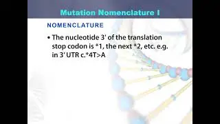 Salient feature of mutation nomenclature