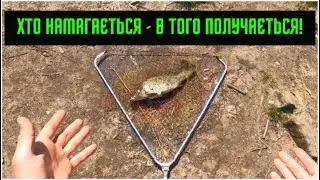 Короп влітку.Регаліца річка.Обвідній канал.Польща.