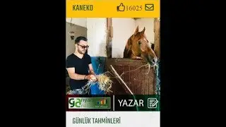 29 Mayıs Elazığ 2 Altılı Ganyan Tahminleri ve At Yarışı yorumları