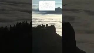 Анекдот про стоимость звонков 