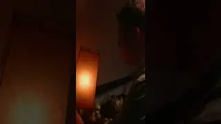 HAUNT:MEME - "Hallway Lamp"